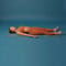 Savasana