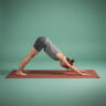 Downward Dog