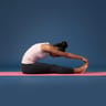Seated Forward Fold