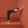 Wall Downward Dog